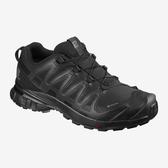 Salomon XA Pro 3D v8 W GTX