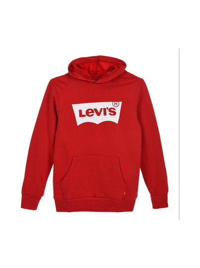 Lvb batwing screenprint hoodie -huppari