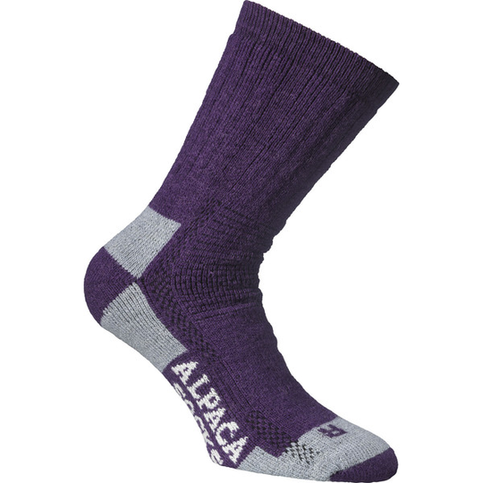 Alpacasocks Alpacasocks 3-p - Purple/light Grey - Unisex - 36-39 - Partioaitta