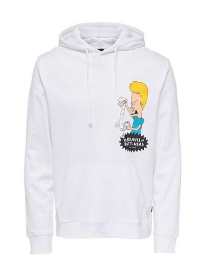 Onsbeavis and butthead reg -huppari
