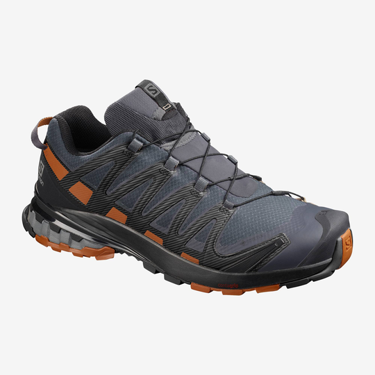 Salomon XA Pro 3D V8 GTX Wide