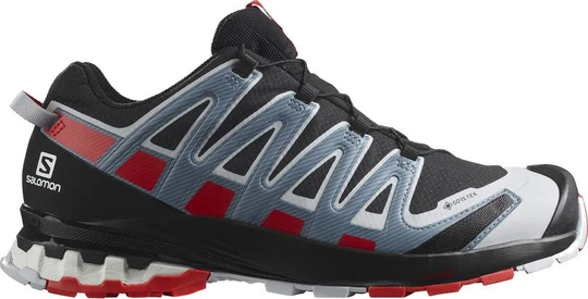 Salomon XA Pro 3D v8 GTX